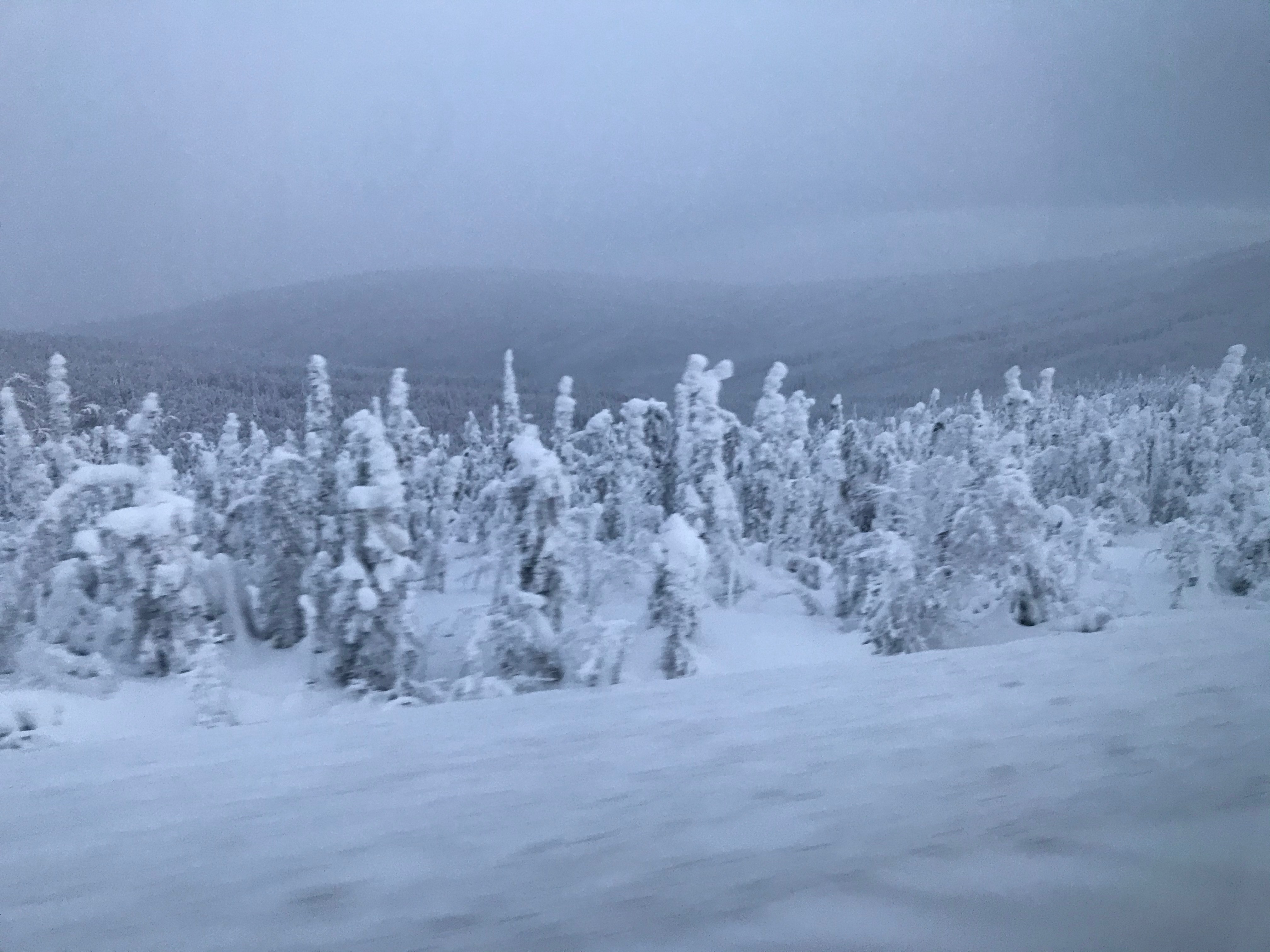 “Hey Doc, …You tell me what’s wrong!”