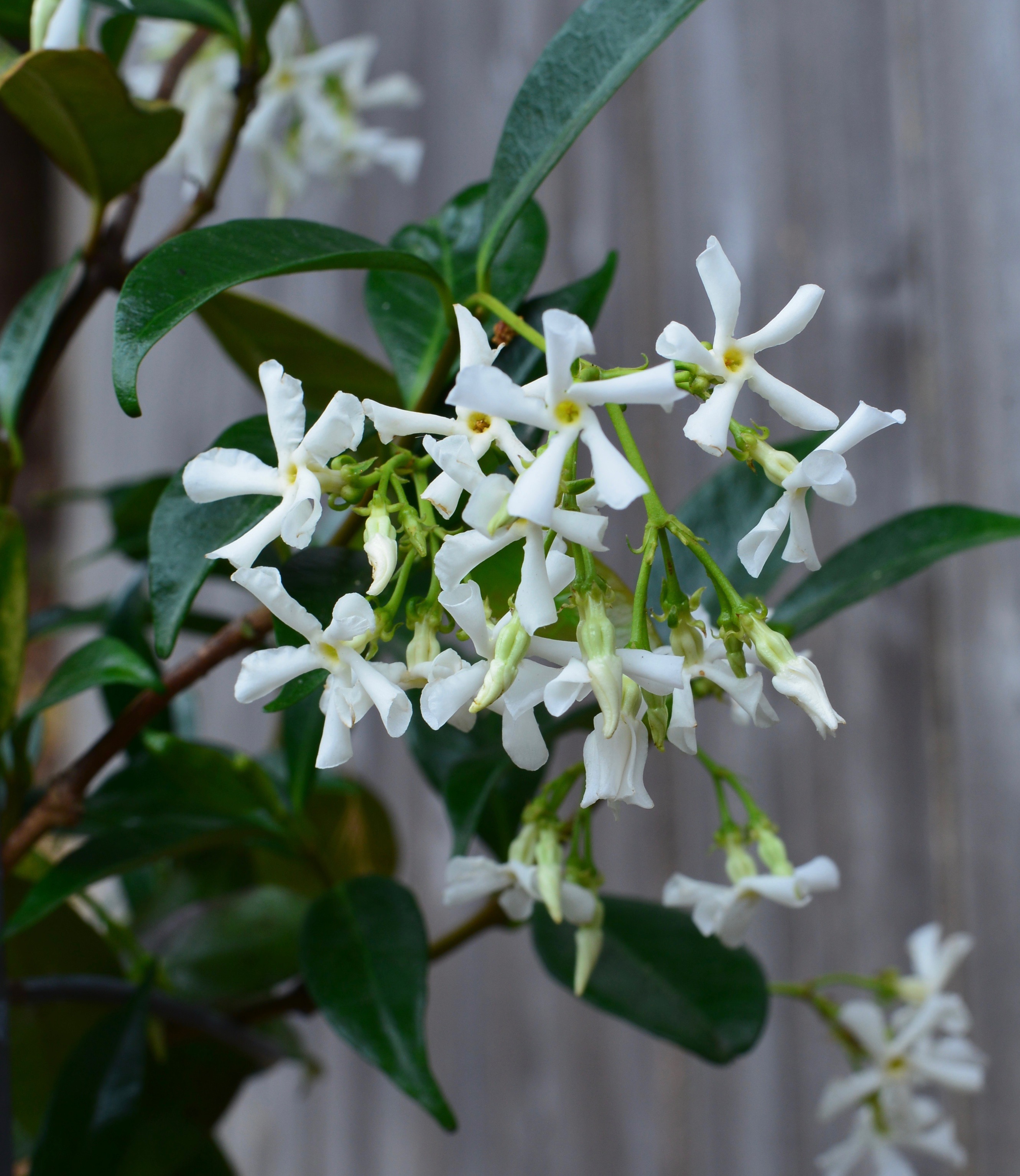 “E-vil” is live spelled backwards