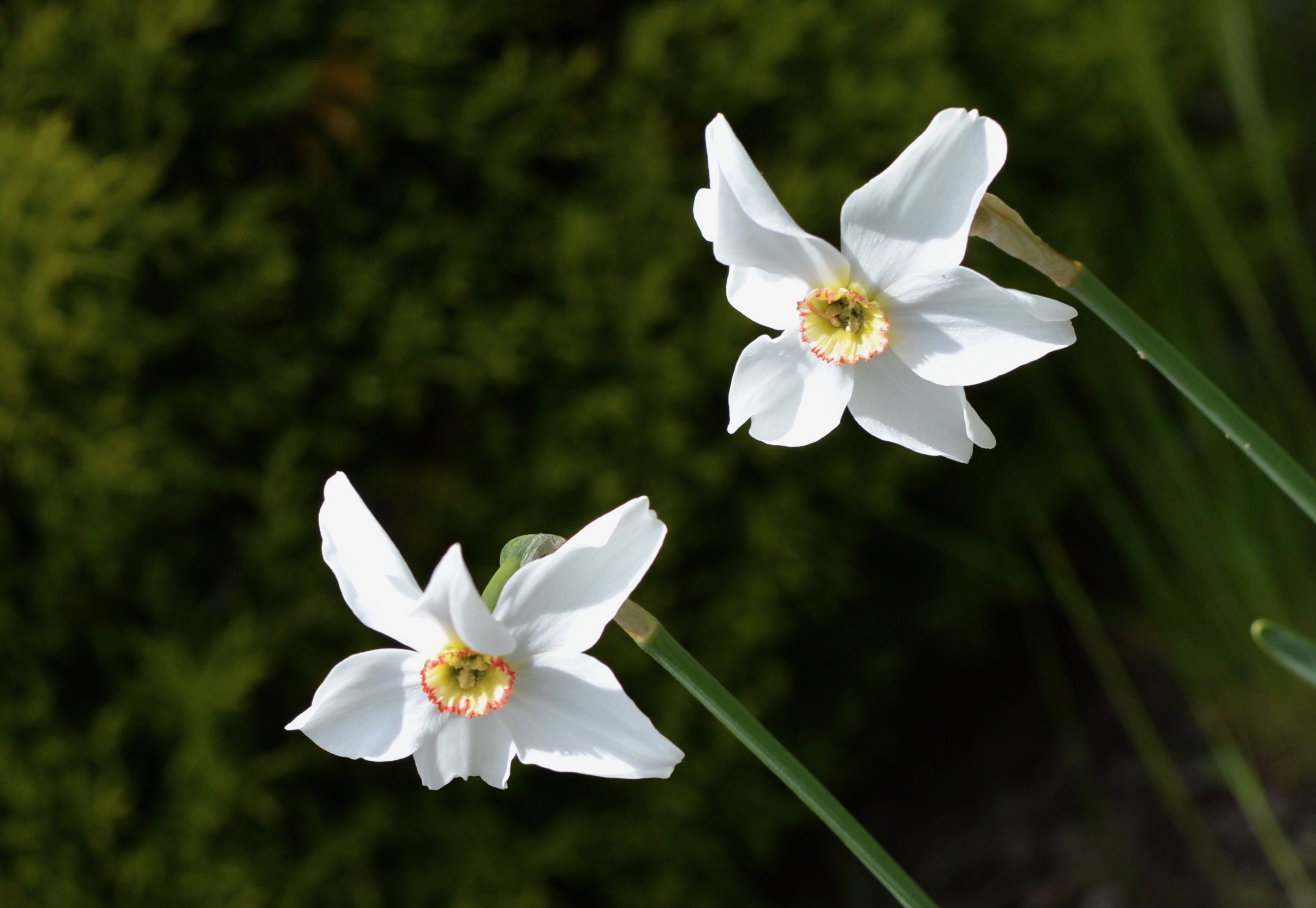 Lamentation for Turkey and Syria