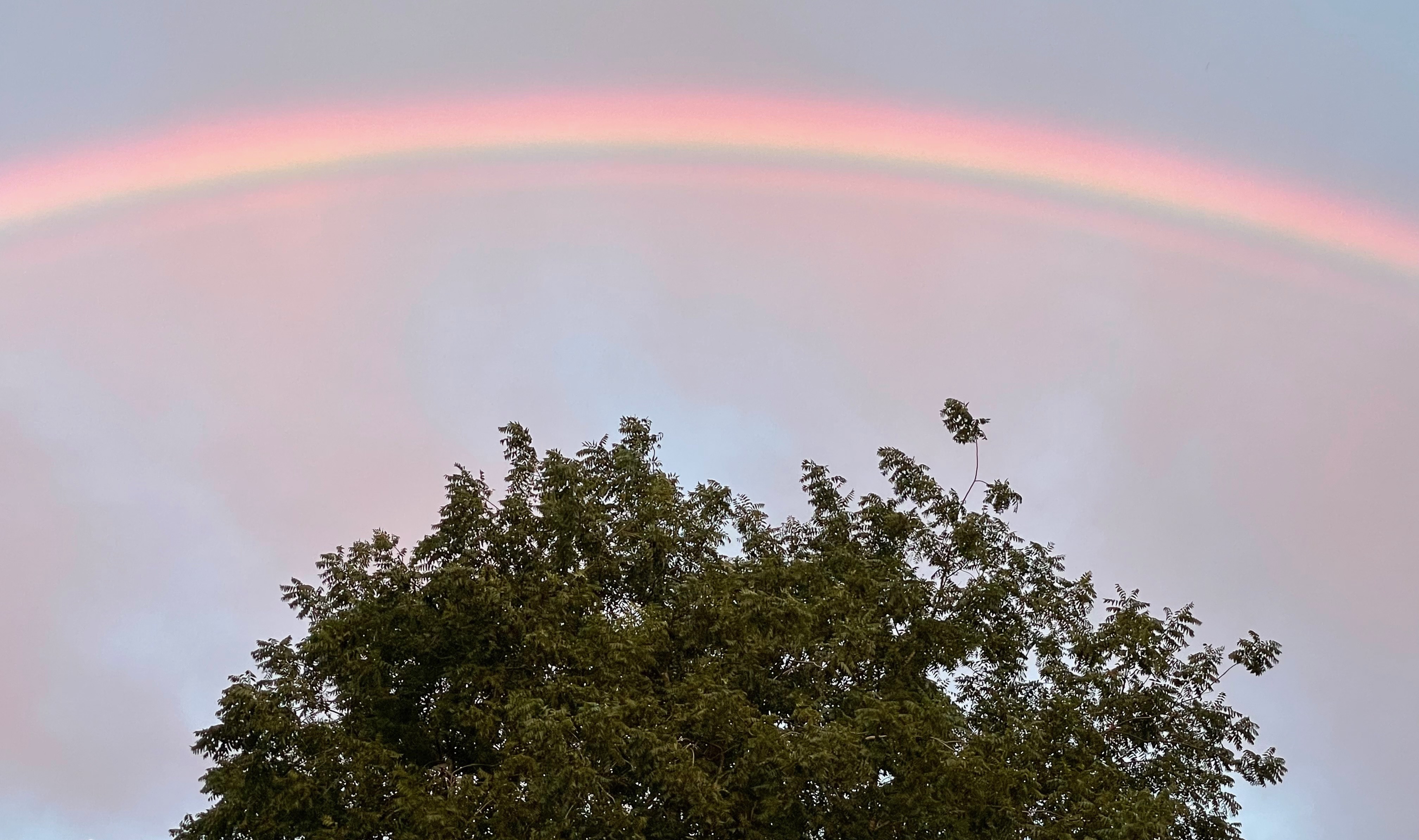 Imp-unity or Im-punity –