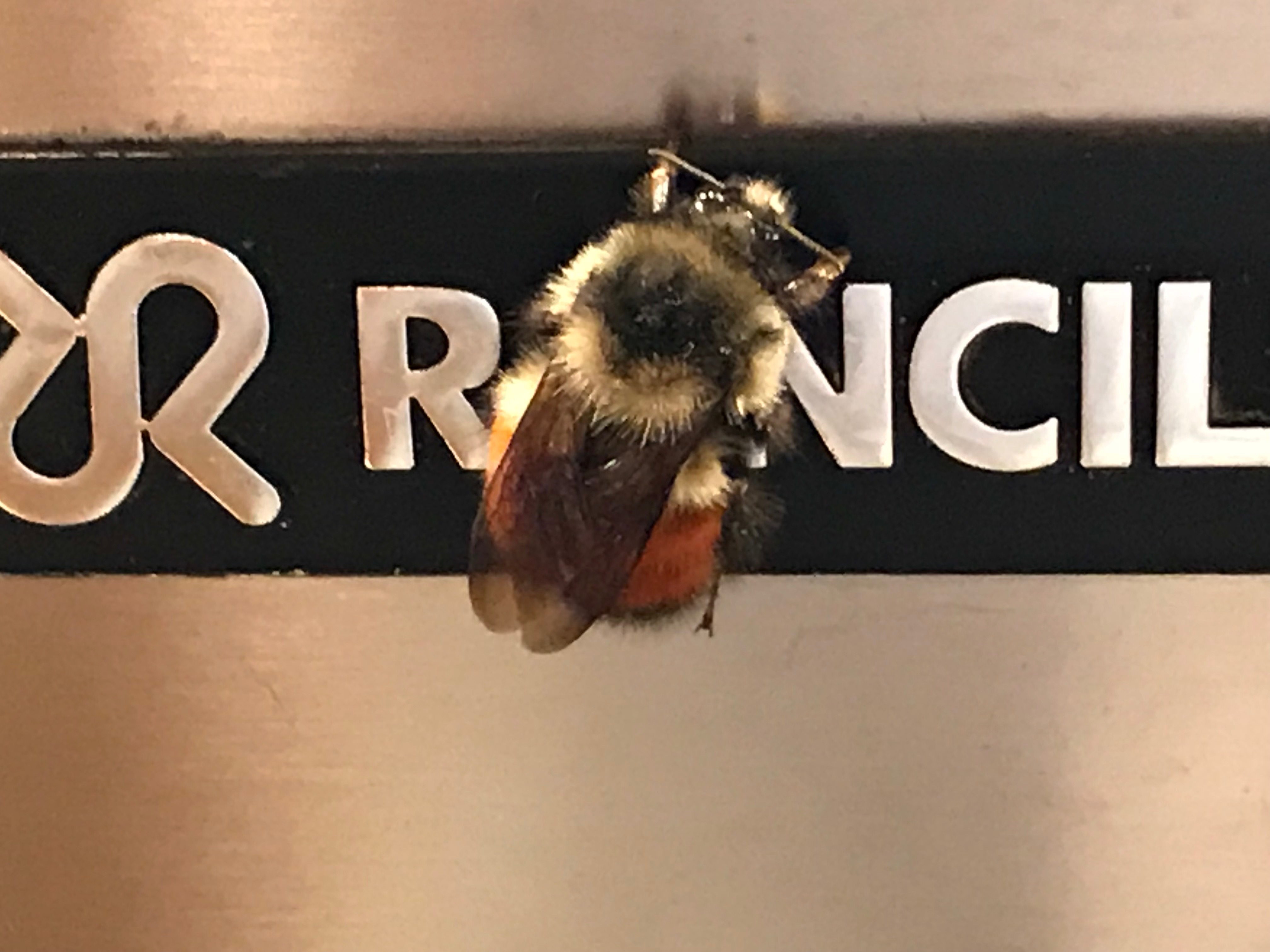 Happy Birthday to me