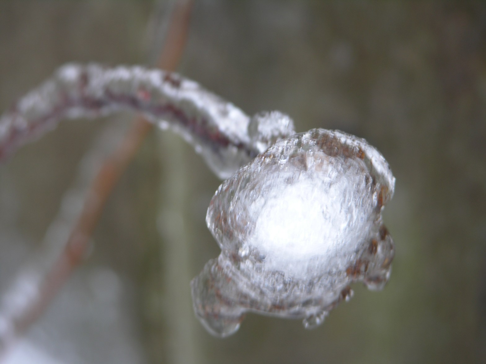 Being a kid at Heart