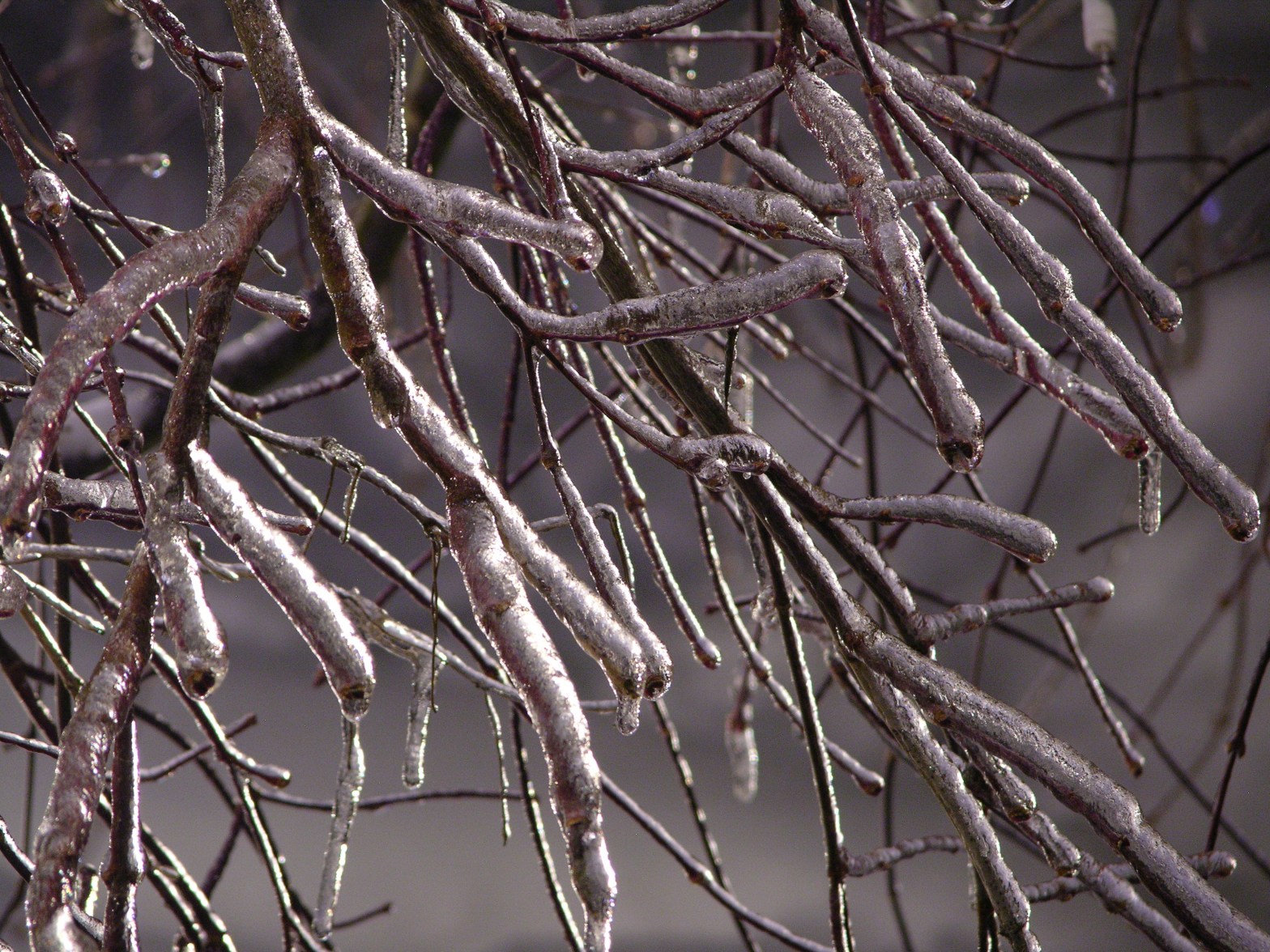 Dark Holidays slow the economy