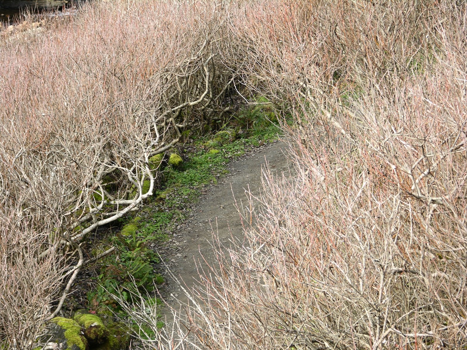 Dearest Little One[1],(five years later)