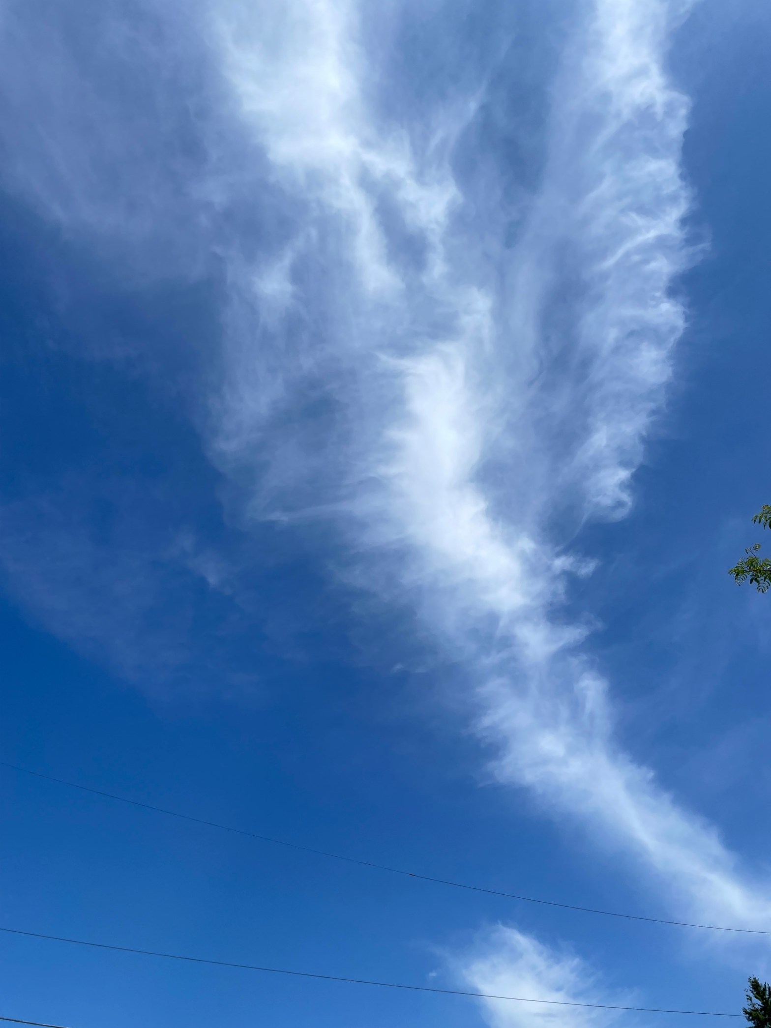  Zayin and Happy Juneteenth!