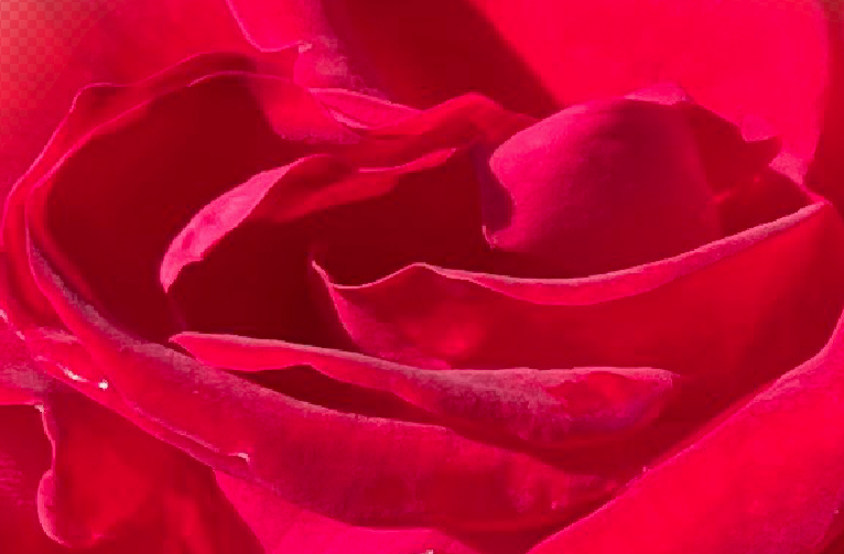 A letter to my Shaman Friend