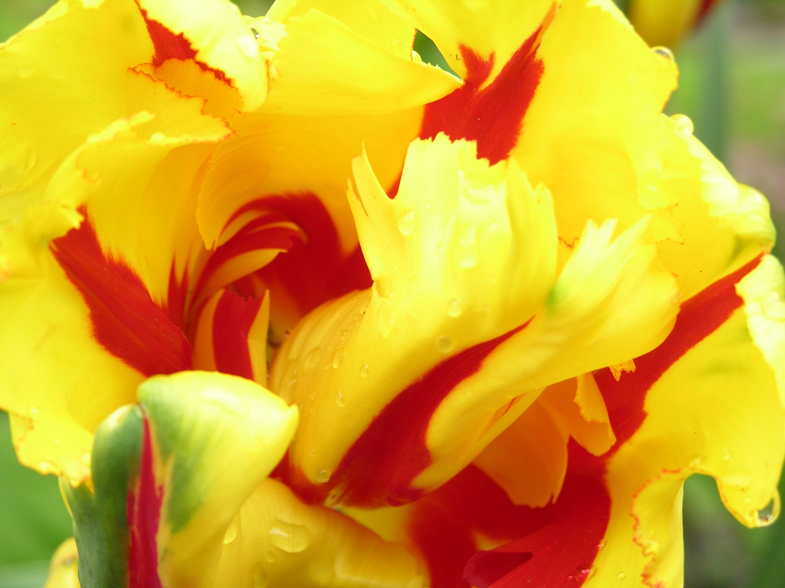 To Bake a Cake – or not.