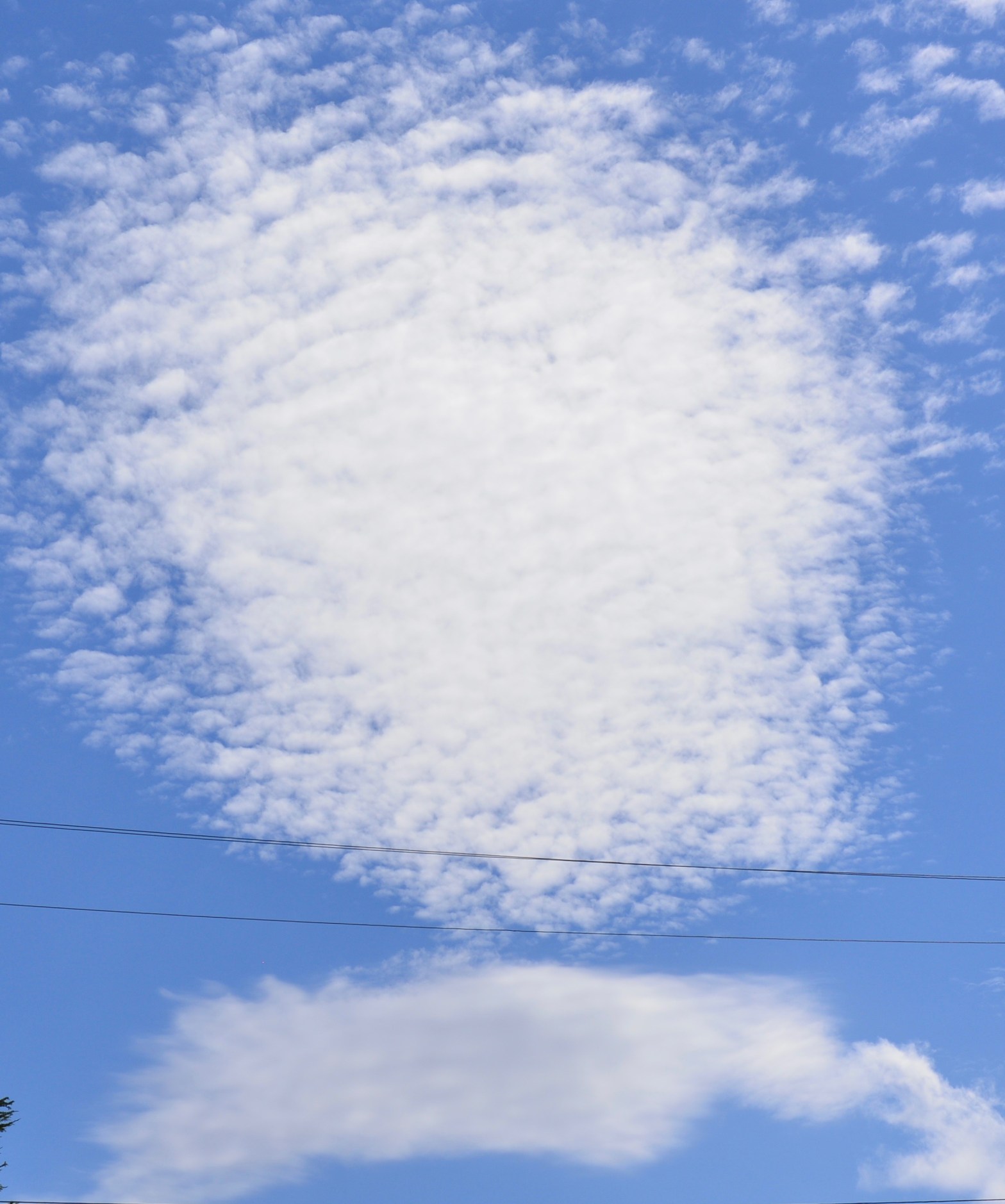 Twin Flame (L.D. #13.3)