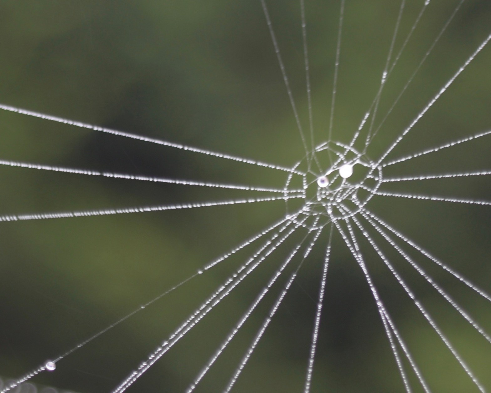 Another resignation letter…