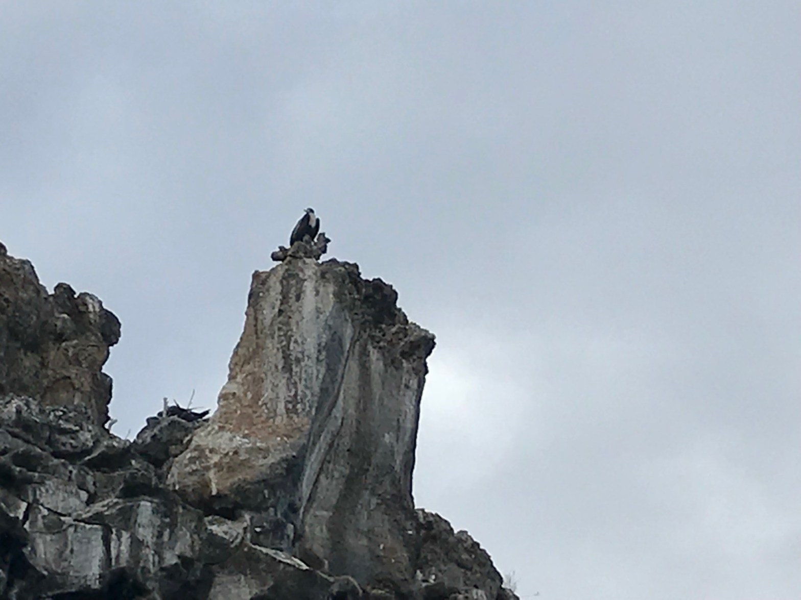 Zayin – your we-a-pon (pt.1)