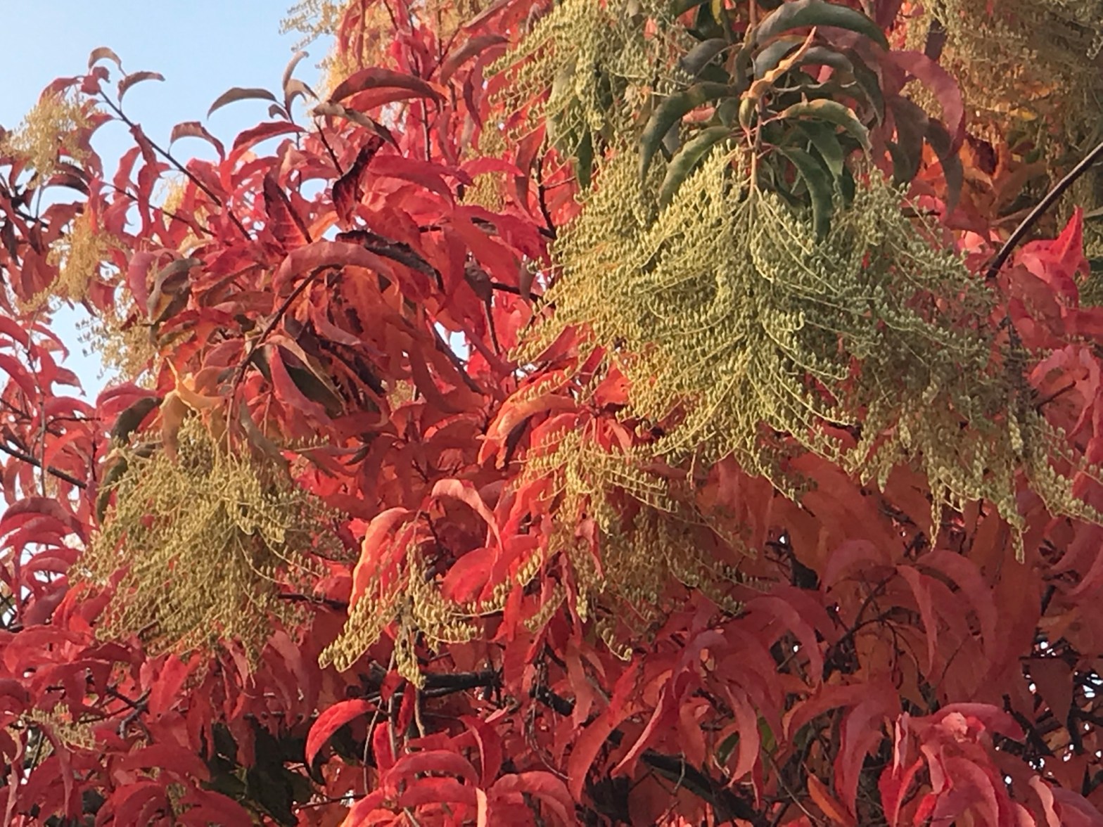 One change I’ve made… (writing prompt)