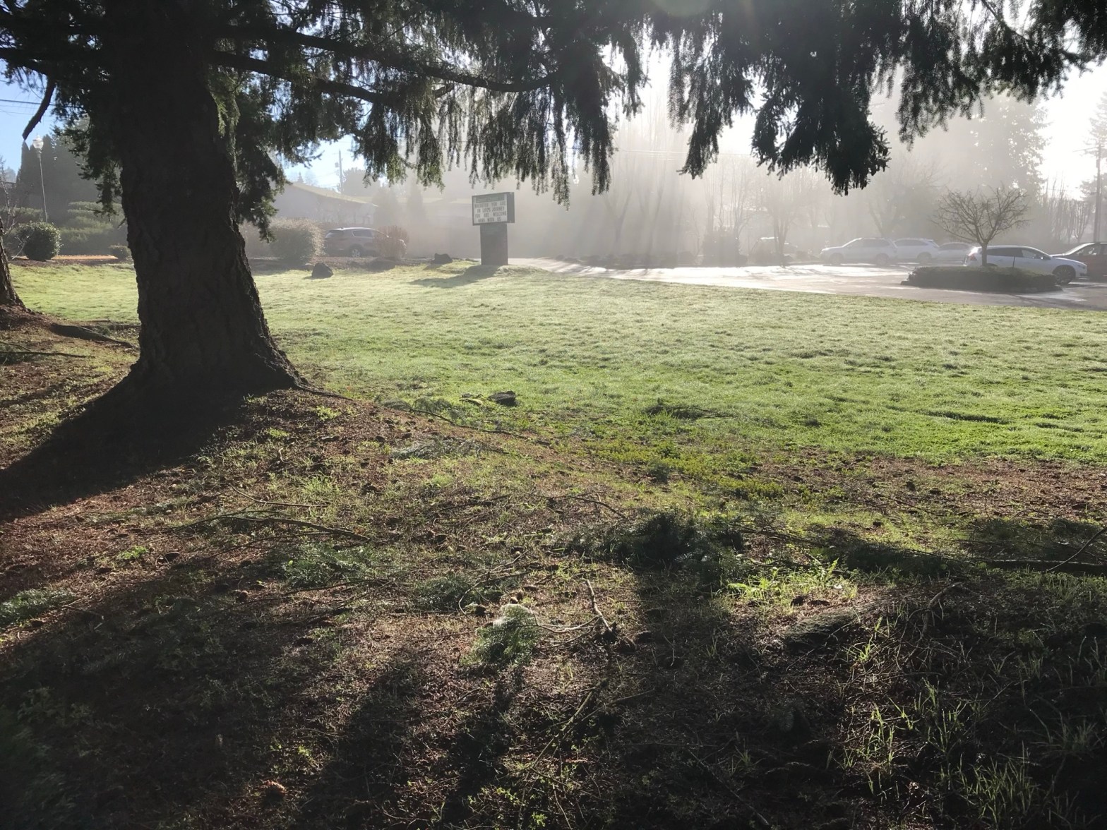 Focus on a ‘True-Crimes’ TV producer’s suicide