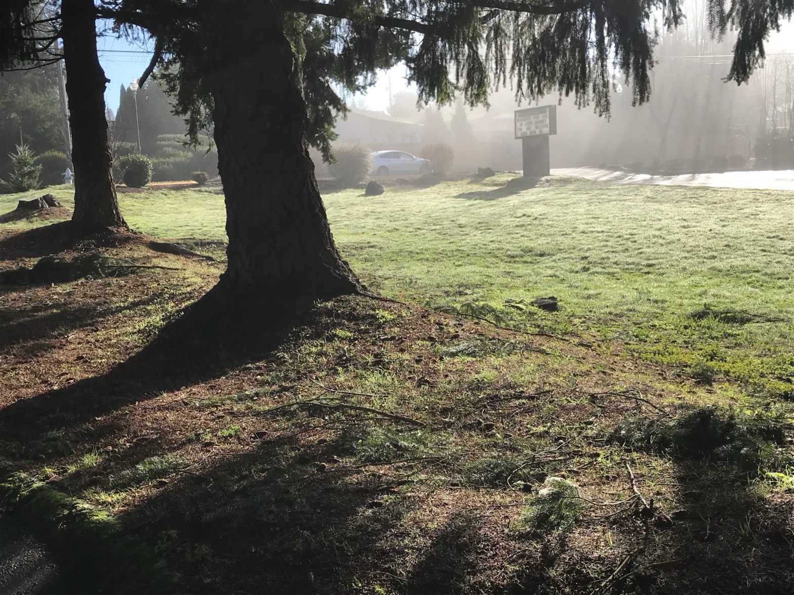 Advice to a young friend.