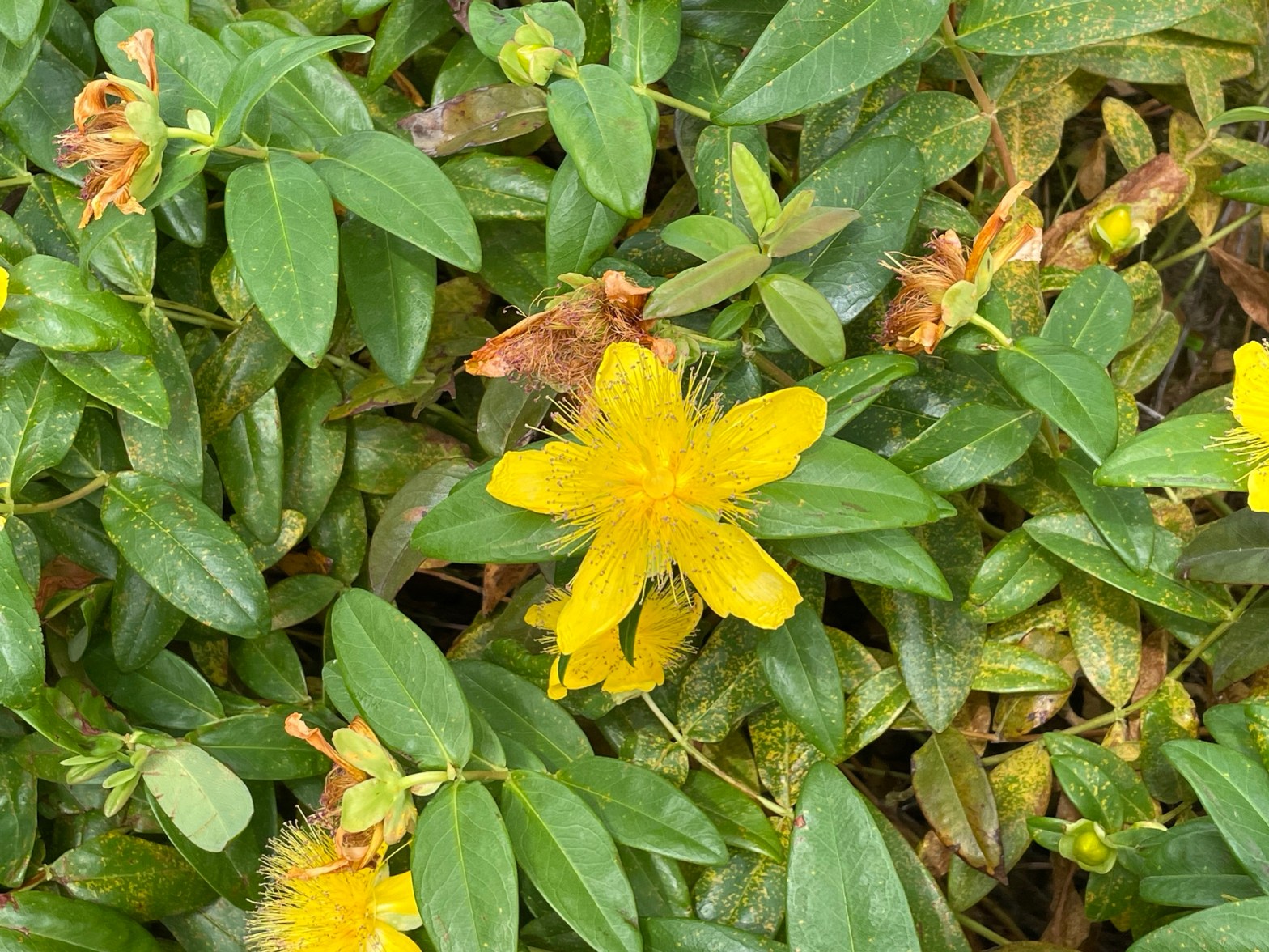 To a Writer Decrying the Science Ecosystem