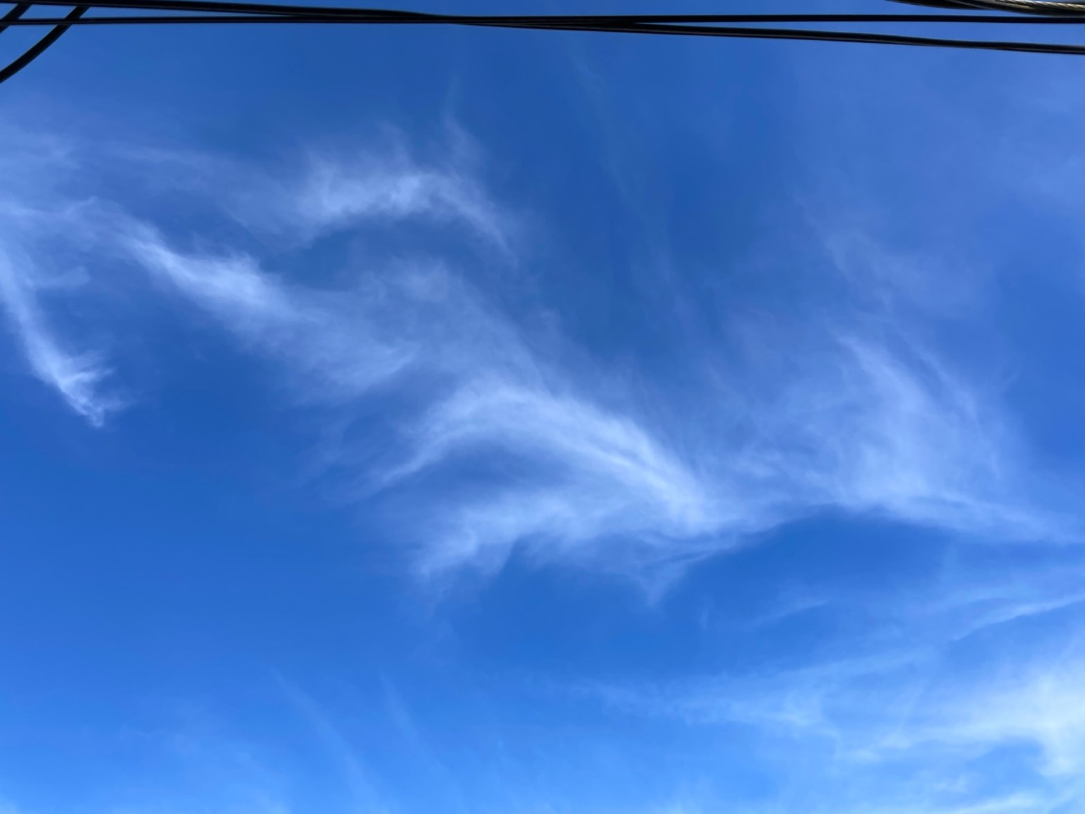 A Wish for Holy Week