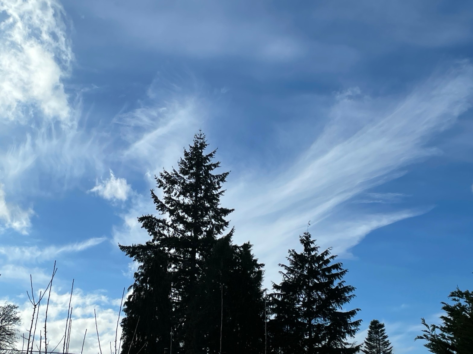 Introducing  Our Inner King and Queen