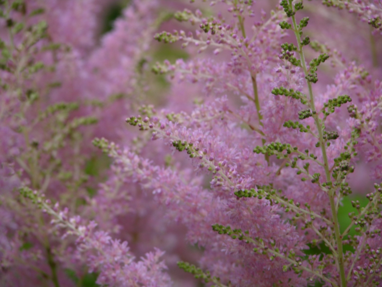 More on dreams…and possession