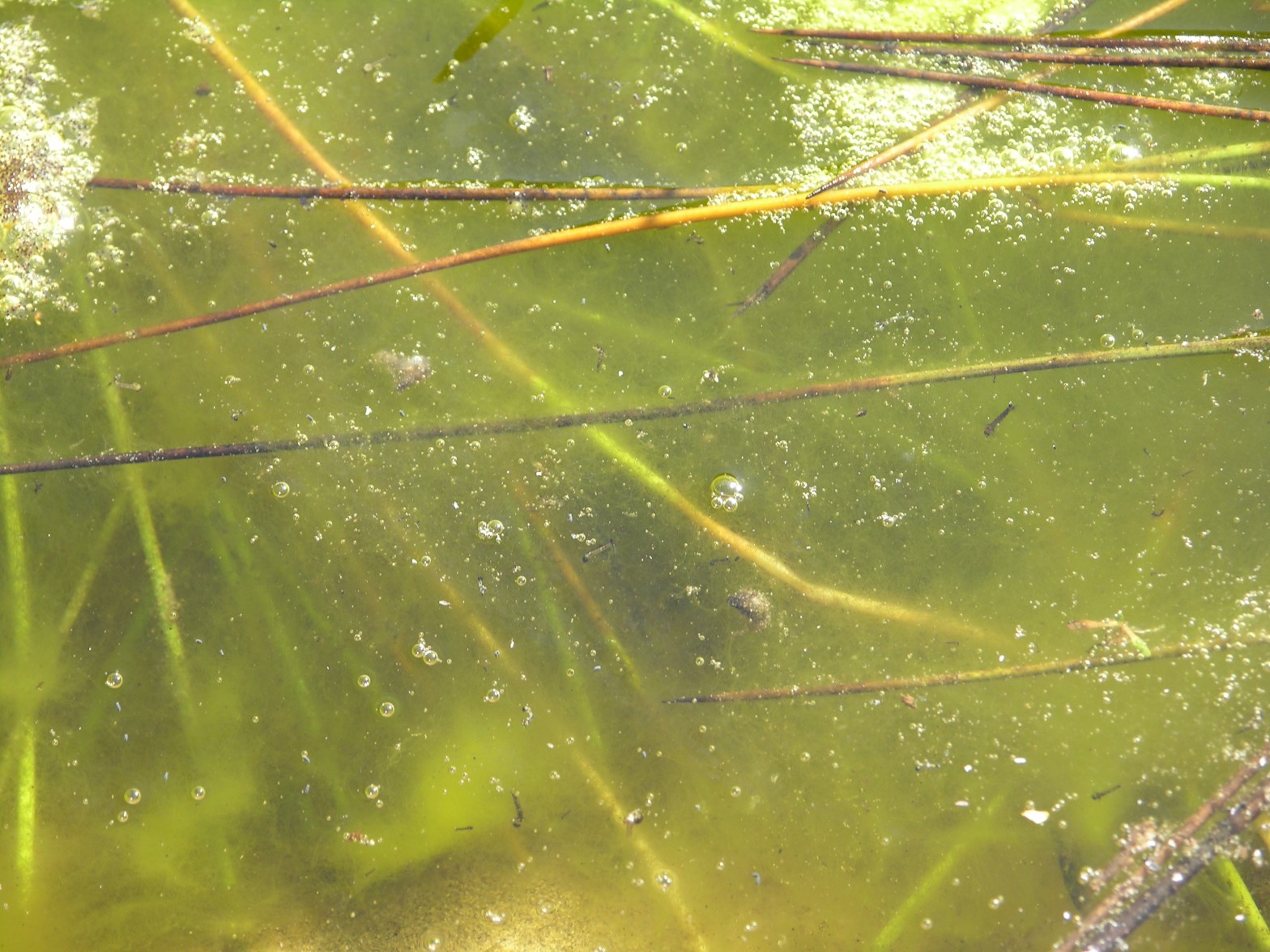 Excerpt from ‘sovereignty’