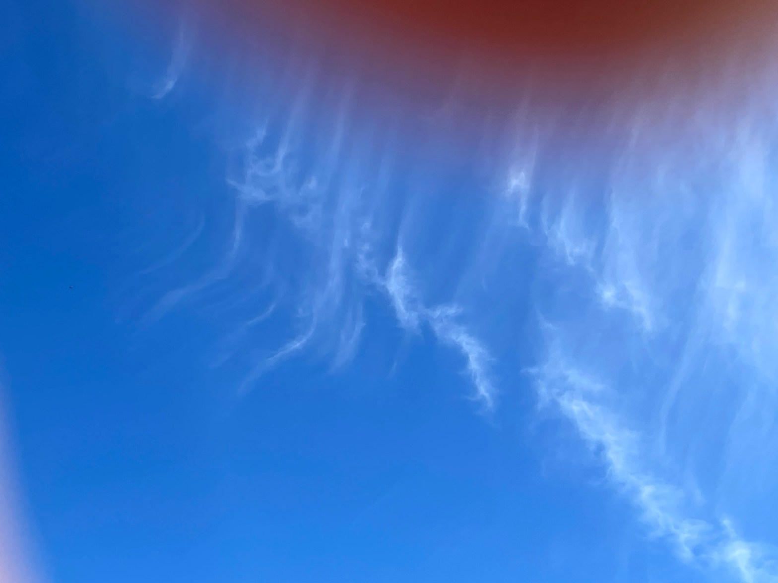 Hurray, I had an audience!