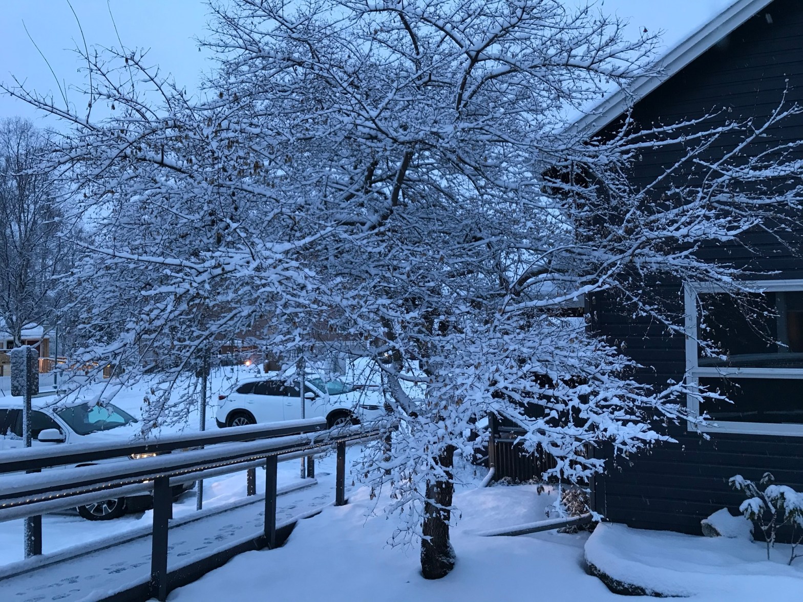 Revised “Snow”, pt. 1