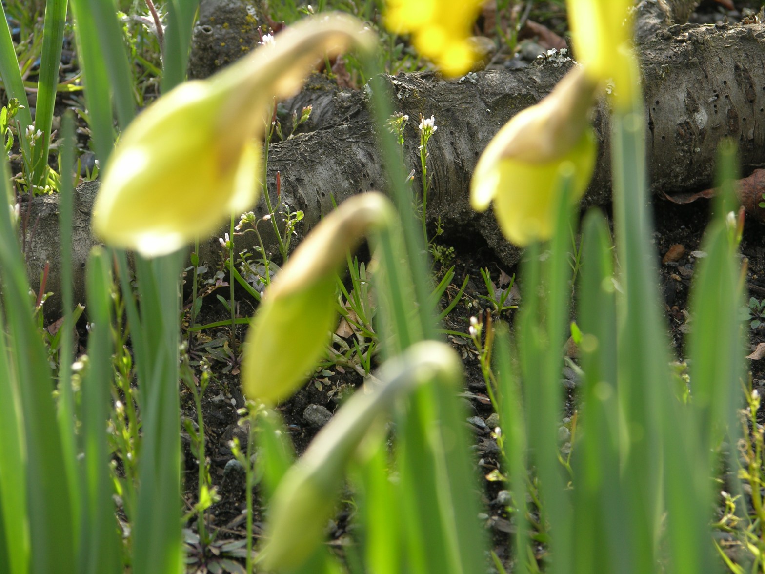 Thoughts on yoga in the public practice setting