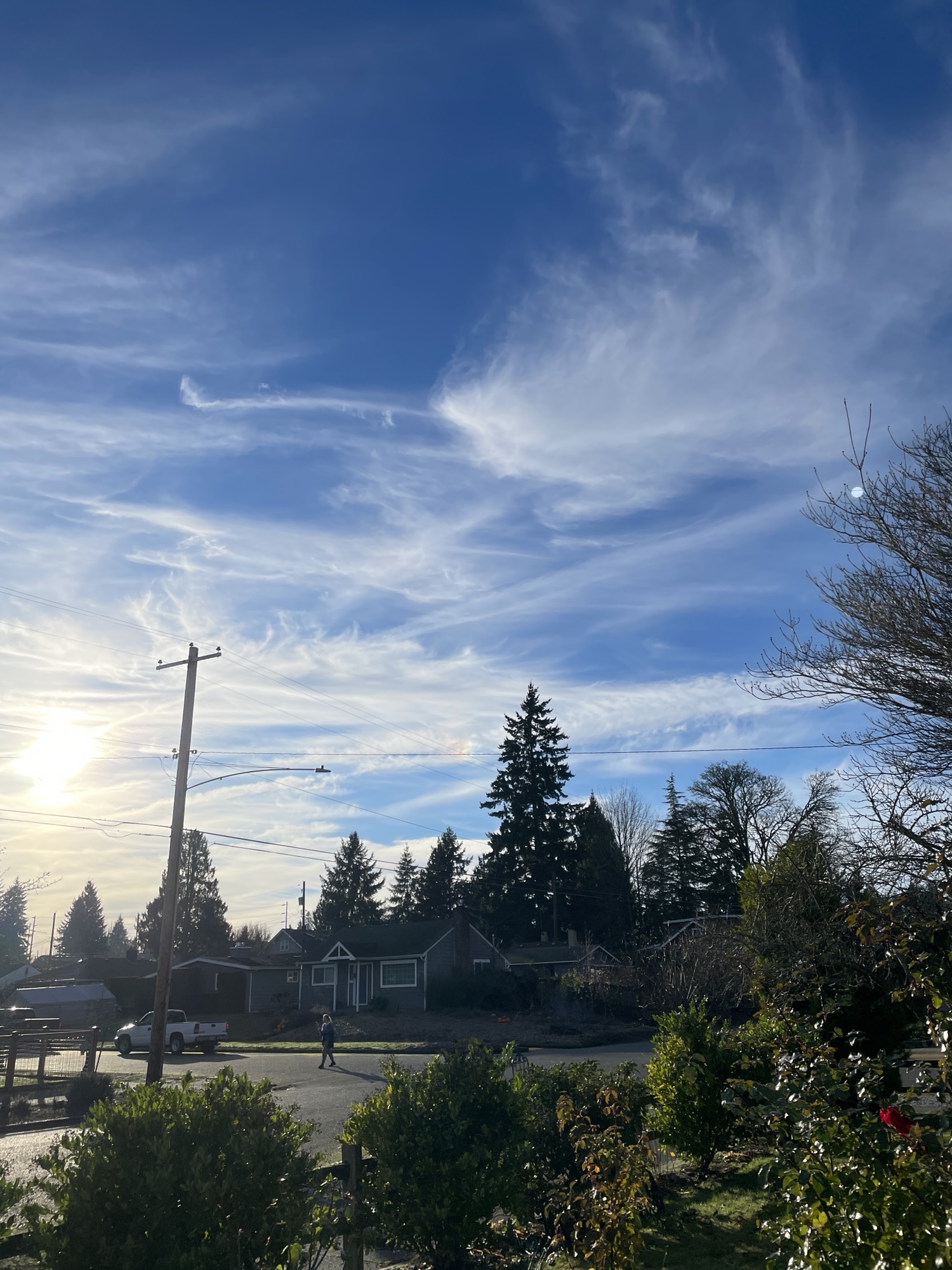 I l’ove on-line’s plethora of platforms!