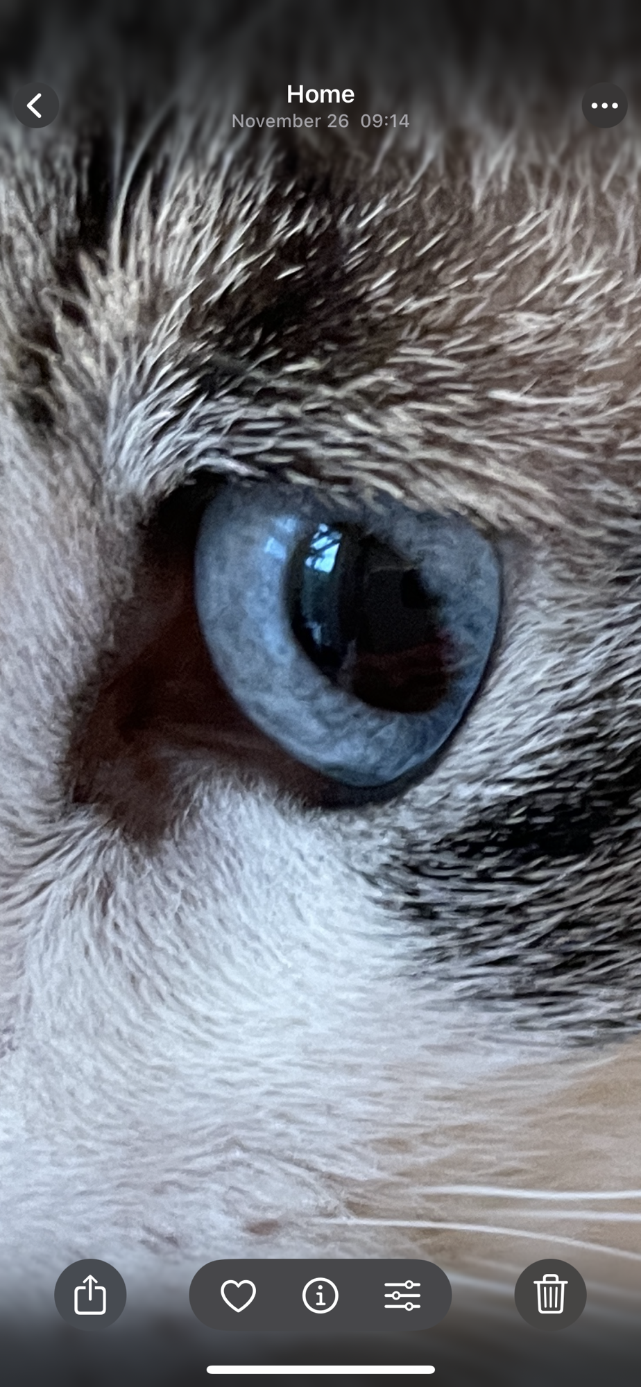 A past life regression