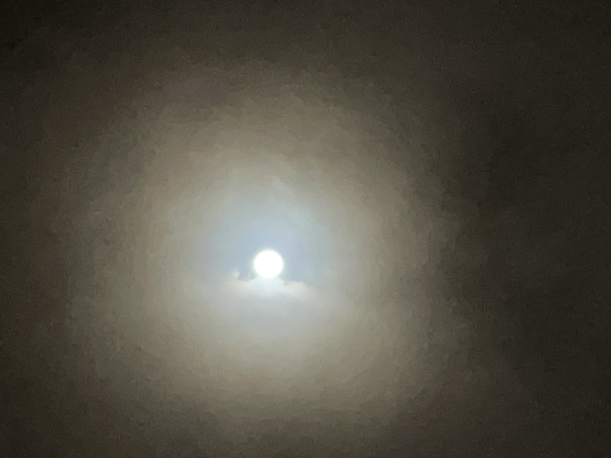 Embrace free will and destiny