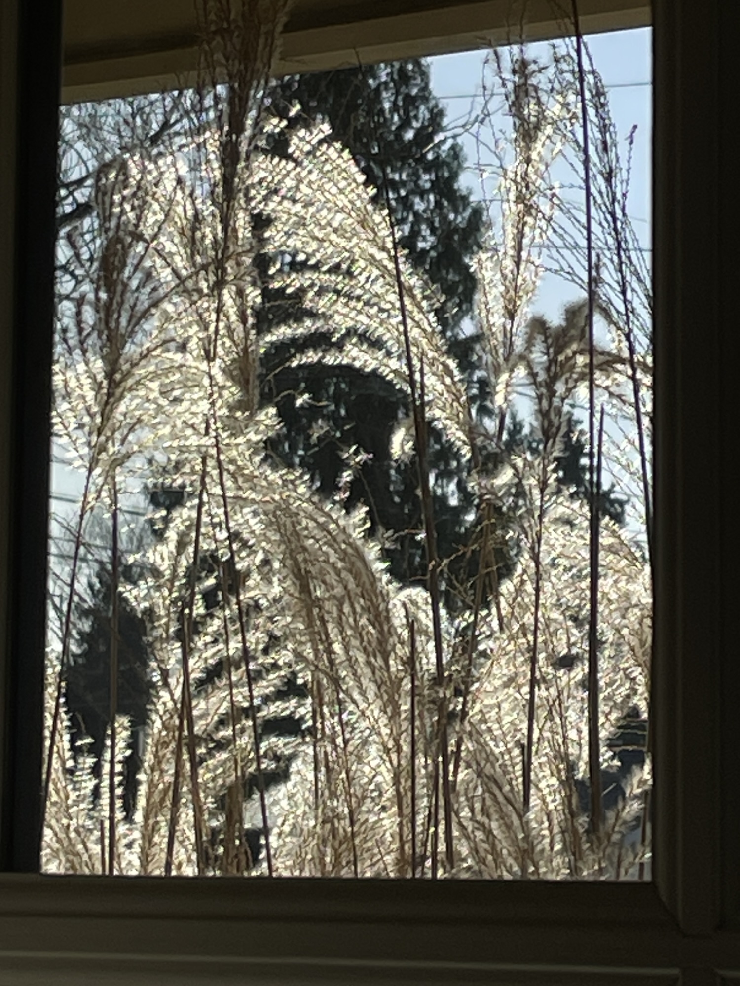 Dear 100- year old self,